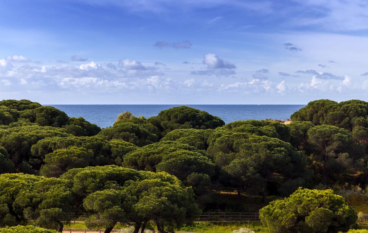 Barcelo Punta Umbria Beach Resort Esterno foto